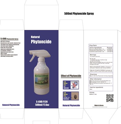 Image Of Carton (500ml Spray Carton)